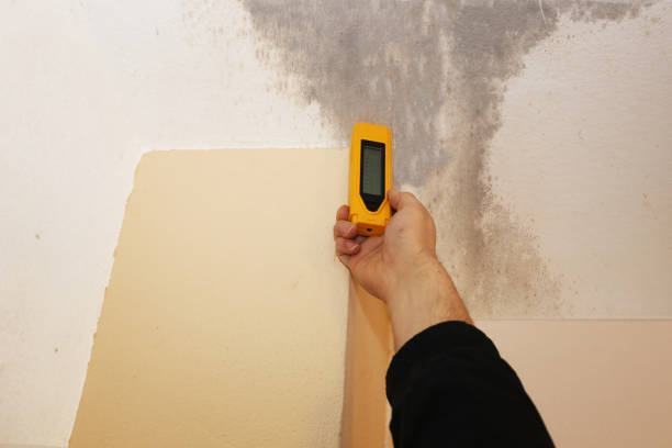 Best HVAC Mold Inspection and Cleaning  in Dexter, MI