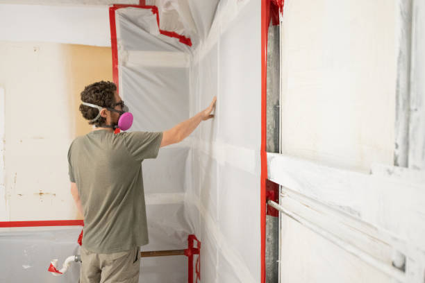 Best Real Estate Mold Inspection  in Dexter, MI