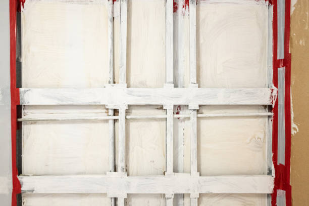  Dexter, MI Mold Removal Pros