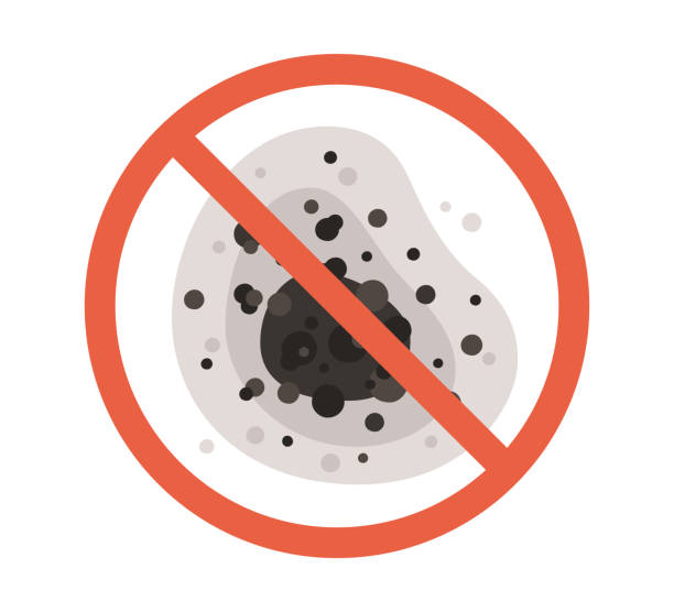 Best Mold Prevention Services  in Dexter, MI