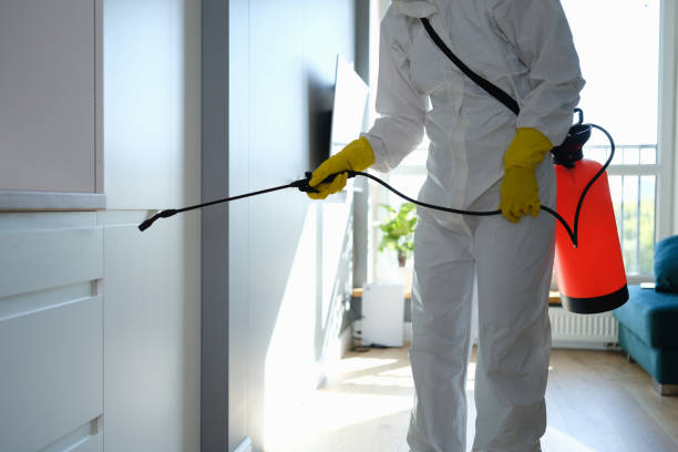 Best Post-Construction Mold Inspection  in Dexter, MI