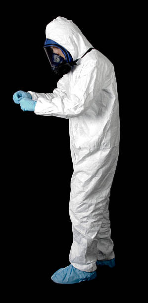 Reliable Dexter, MI Mold Removal Solutions