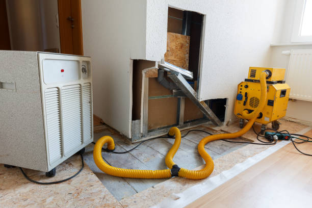 Best Biohazard Mold Removal  in Dexter, MI
