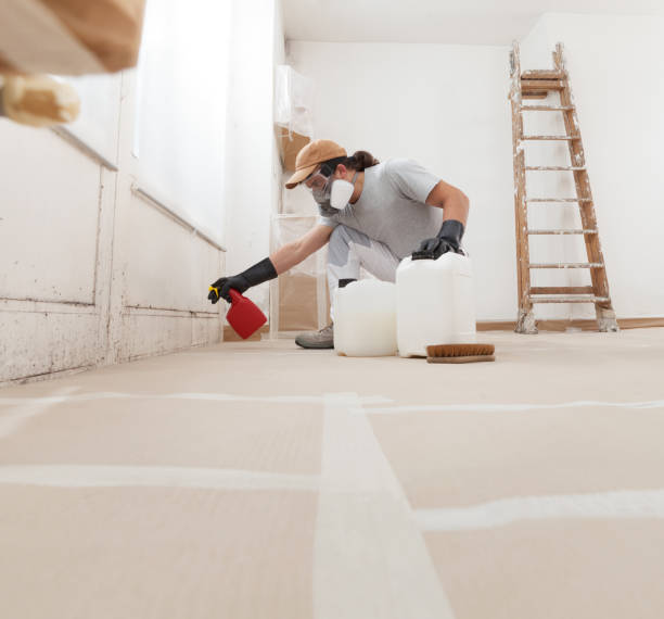 Best Air Quality Testing for Mold Spores  in Dexter, MI