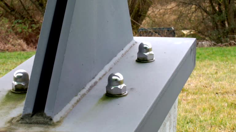 Best Industrial Mold Remediation  in Dexter, MI